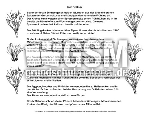 Abschreibtext-Krokus-SW.pdf